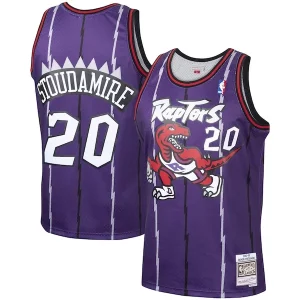Duradero Damon Stoudamire Toronto Raptors 1995/96 Hardwood Classics Swingman Jersey Purple
